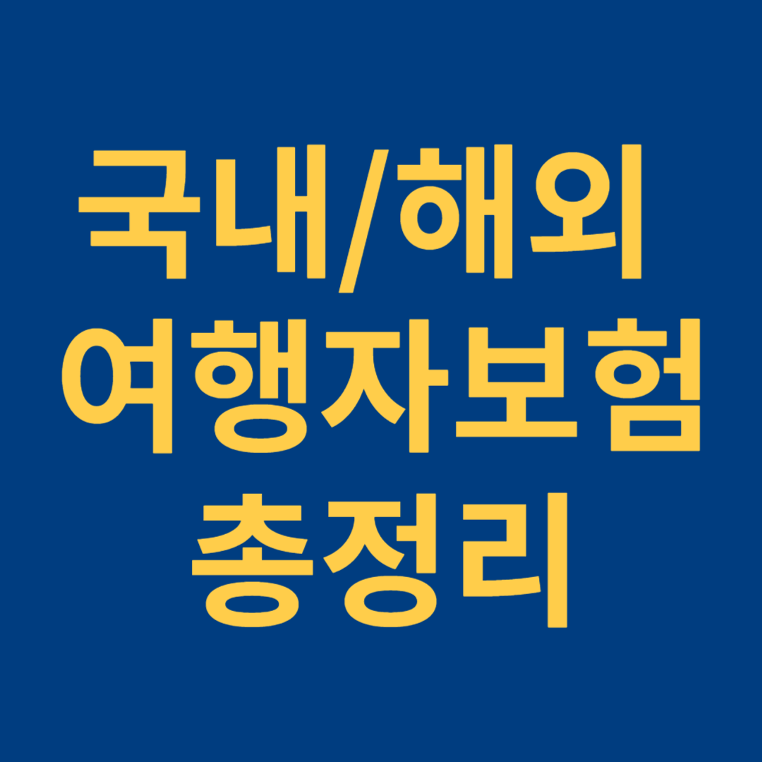 국내여행자보험 총정리