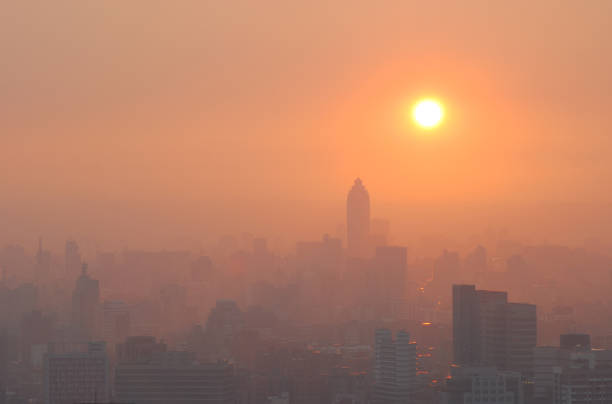 미세먼지