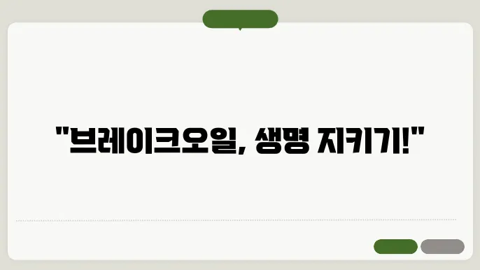 브레이크오일 교환주기