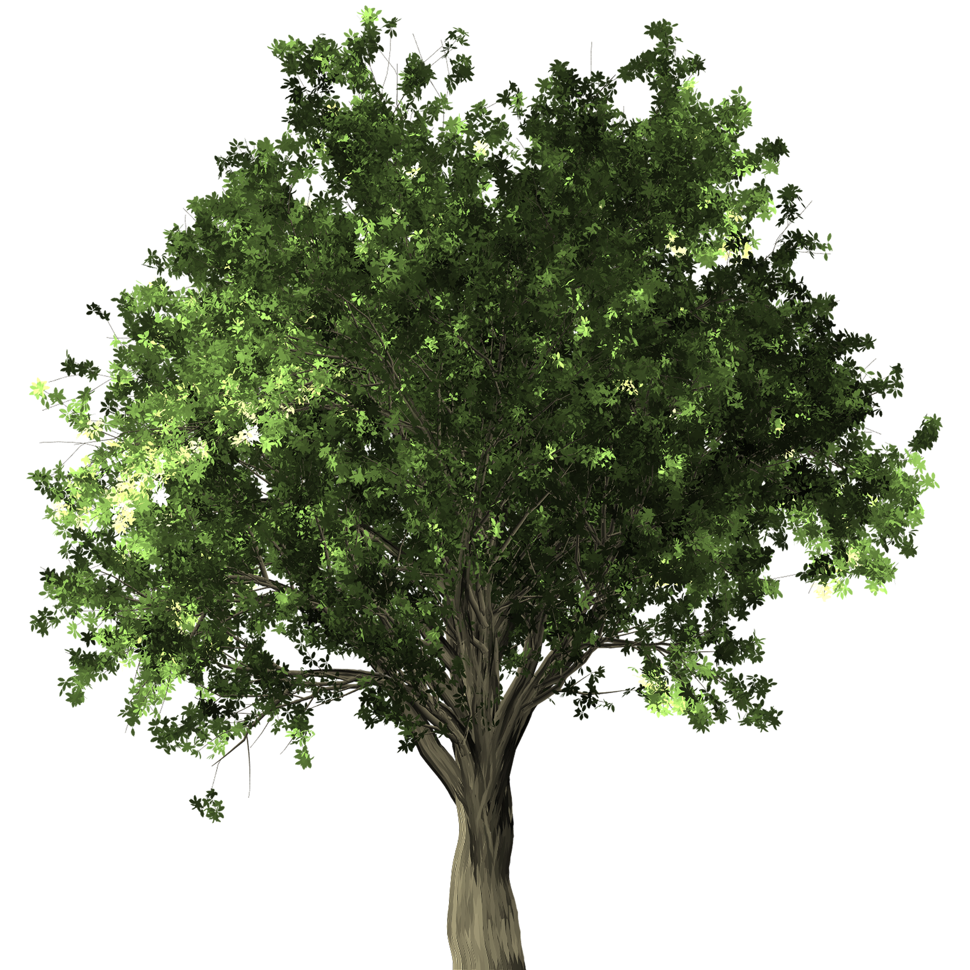 고사성어 남가일몽