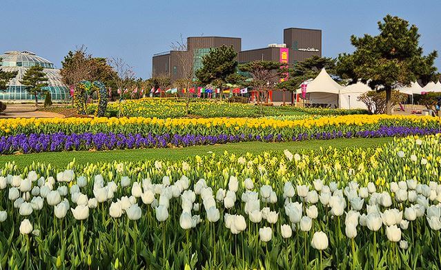 태안 튤립축제 기간 입장료 주차장