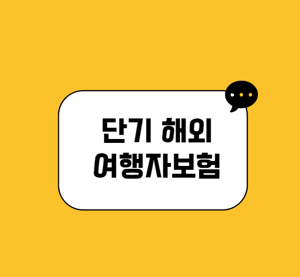 단기 해외 여행자보험