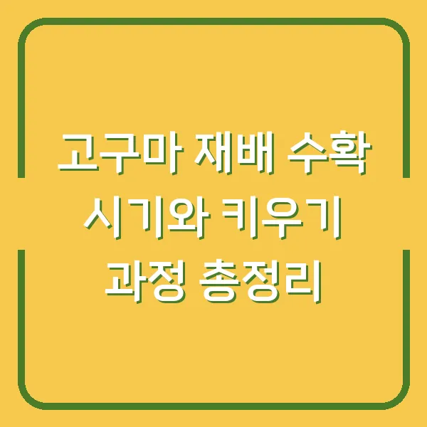 고구마 재배 수확 시기와 키우기 과정 총정리