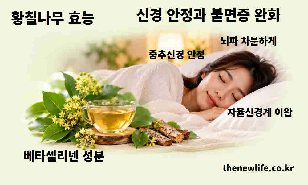 황칠나무 효능 신경 안정 불면증 완화