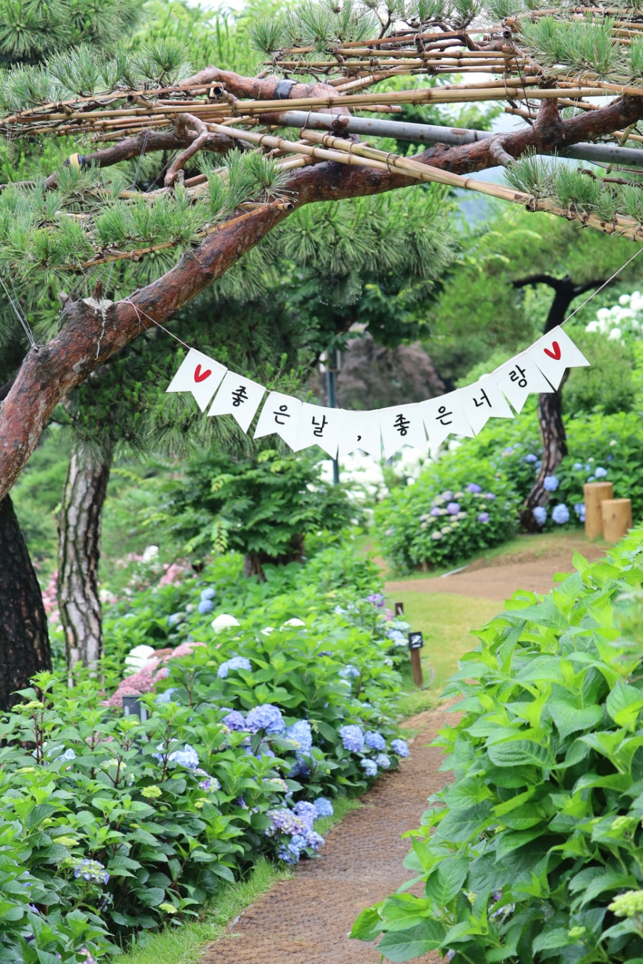 특색있고 아름다운 민간 정원 30선 추천 여행 - 07. 청주 공간정원