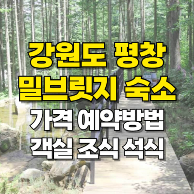 평창 밀브리지 숙소 예약 방법 객실 가격 조식 석식 카드뉴스