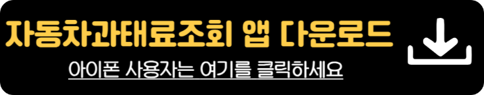 불법주정차 과속 속도위반 자동차 과태료 조회