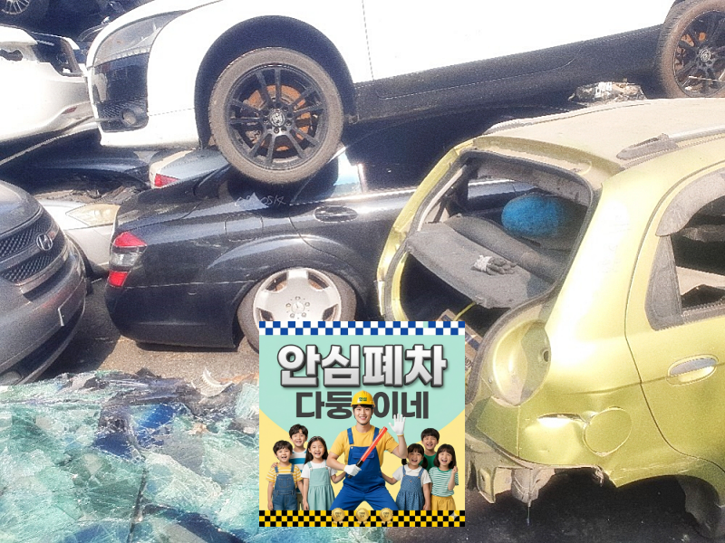 영치차량폐차 영치 사유 확인