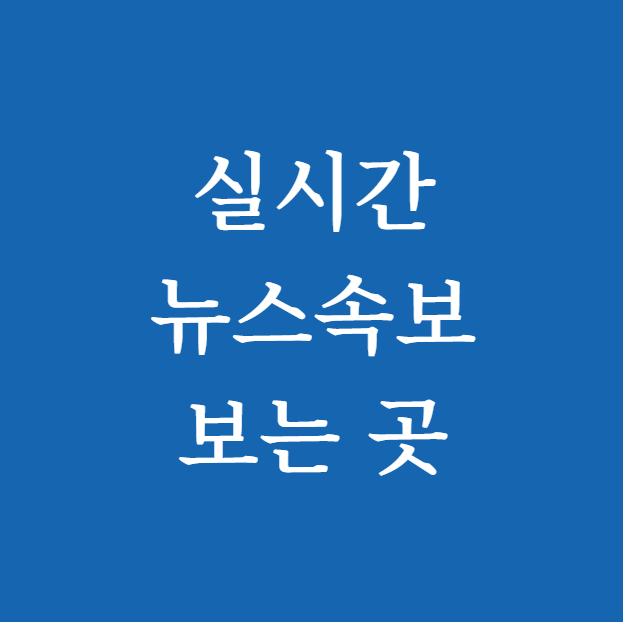 2025년 실시간 뉴스속보 보는 곳