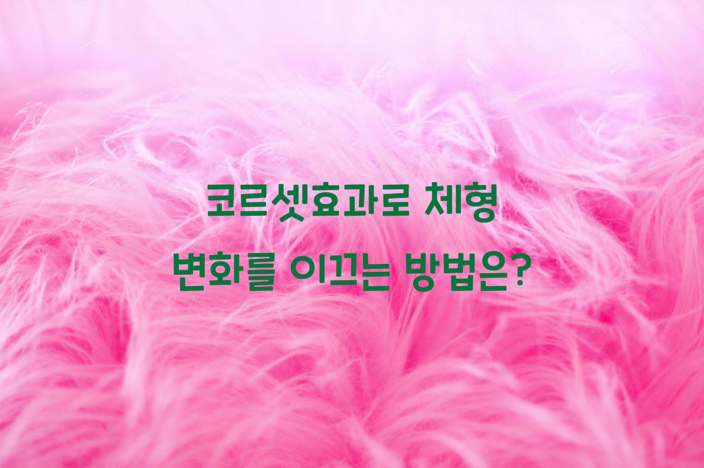 코르셋효과
