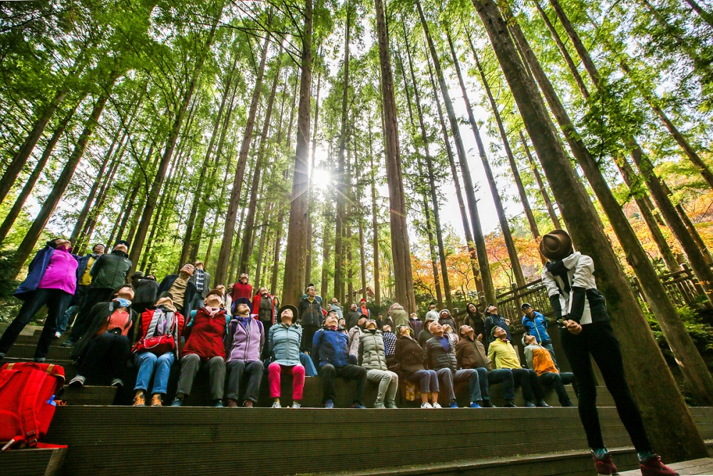 시니어관광객 힐림관광체험 2019