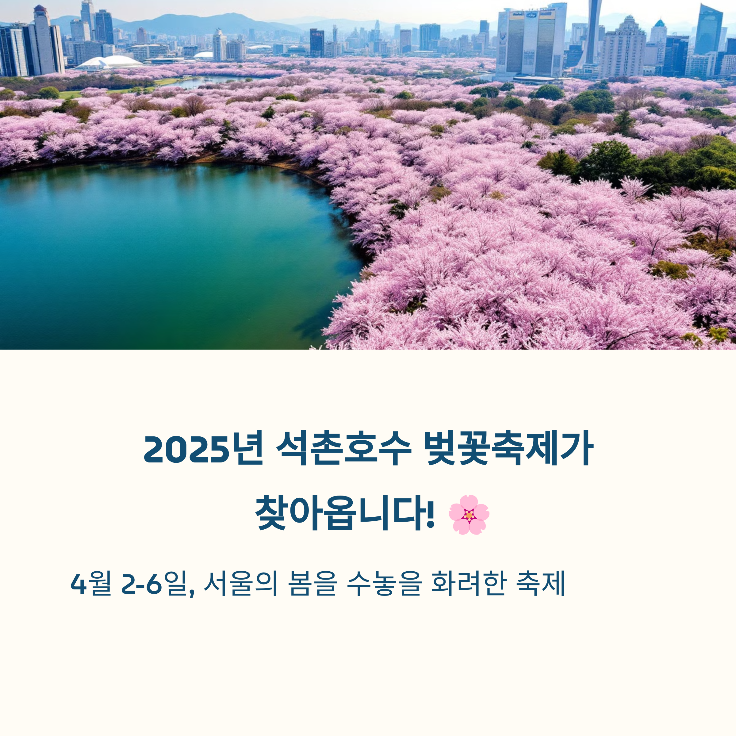 서울 석촌호수 벚꽃축제 2025, 올해 개화일정은
