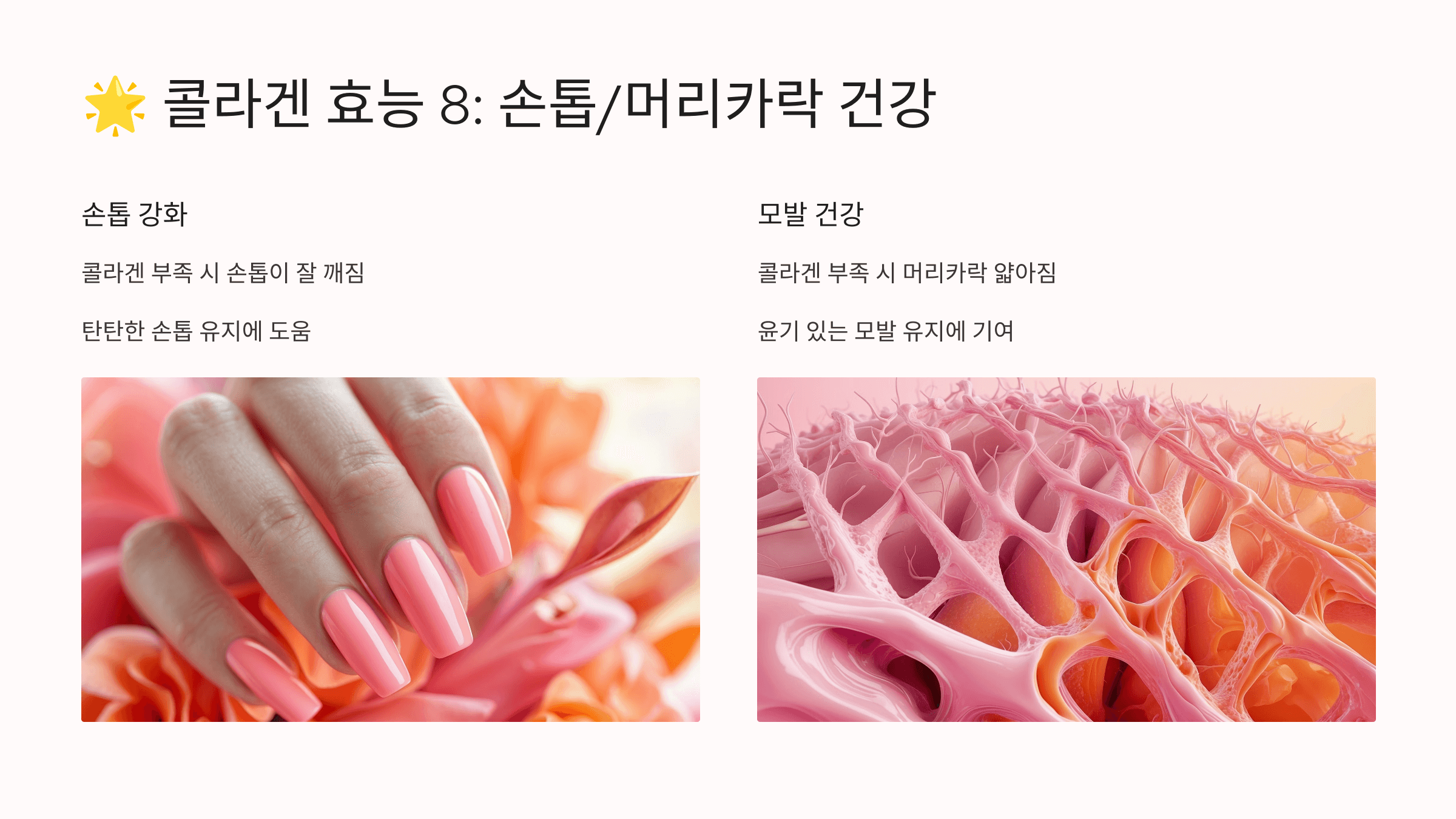 콜라겐과 관련된 사진입니다.
