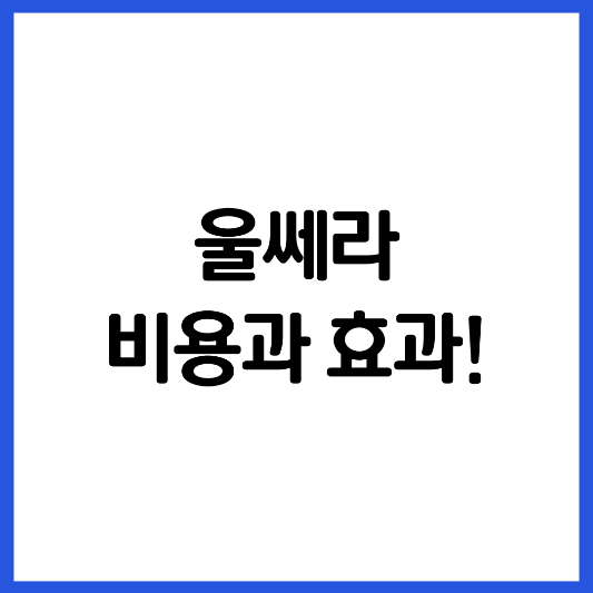 울쎄라-비용-효과