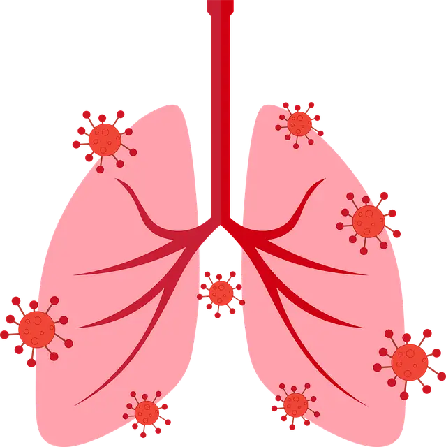 폐 결핵 증상과 병리 소견