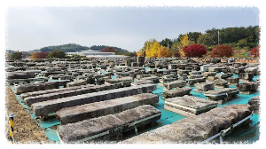 익산