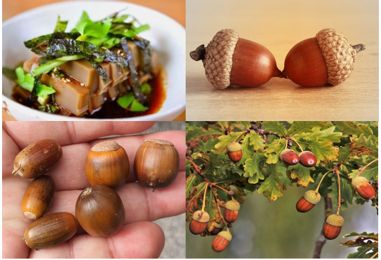 도토리묵의 효능