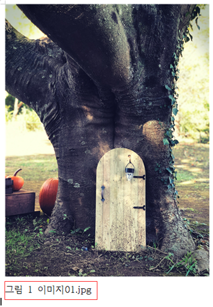 한글 그림 넣기 그림 삽입 연결