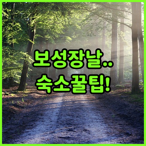 전남 보성 여행 필수 코스 향토시장 ..