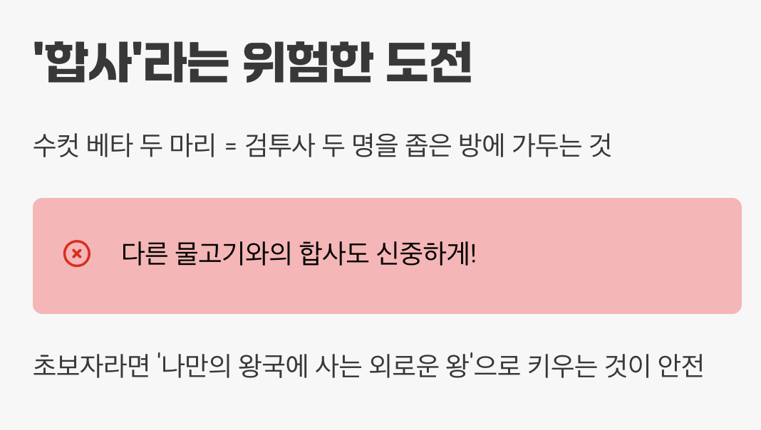 &amp;#39;합사&amp;#39;라는 위험한 도전