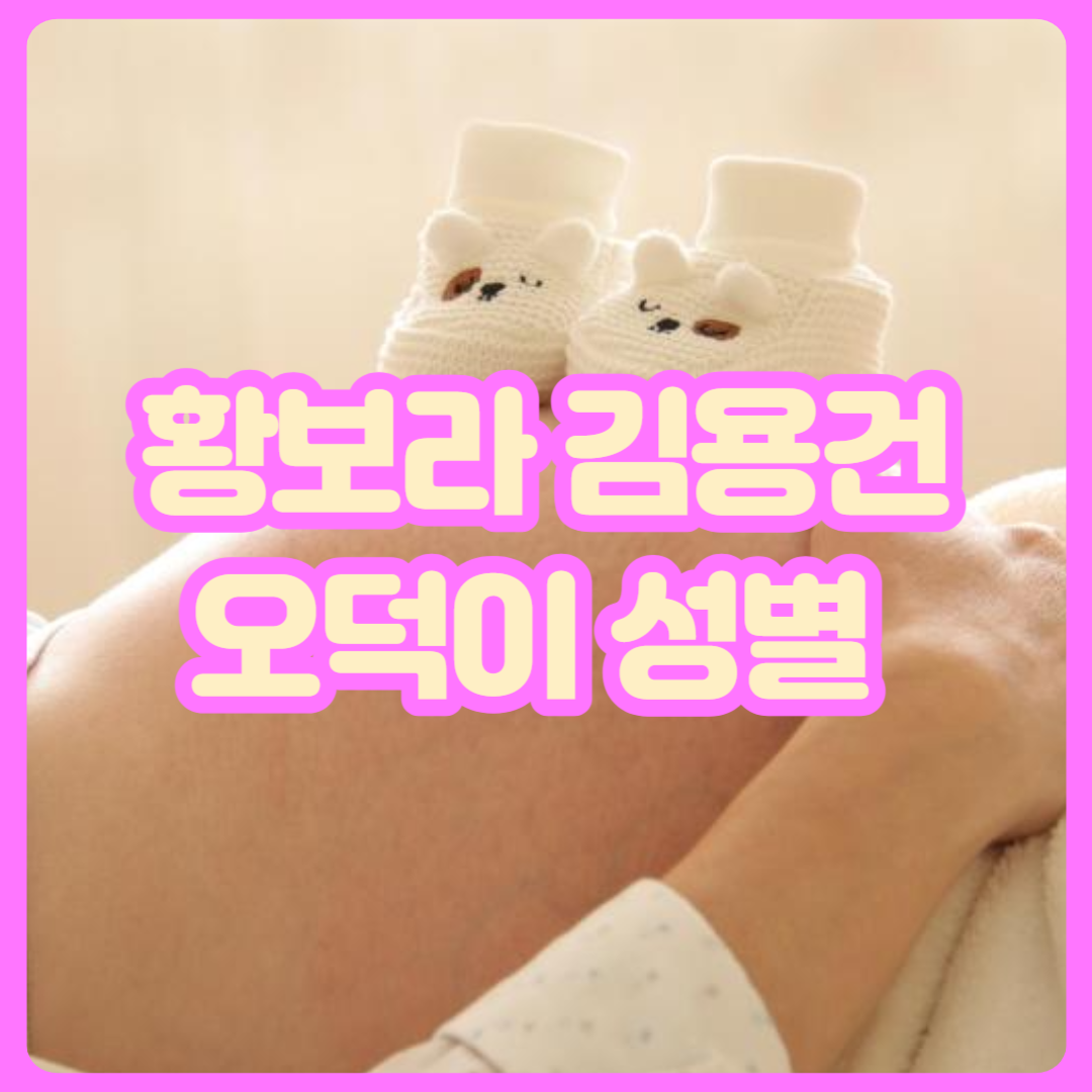 황보라_김용건_오덕이_성별