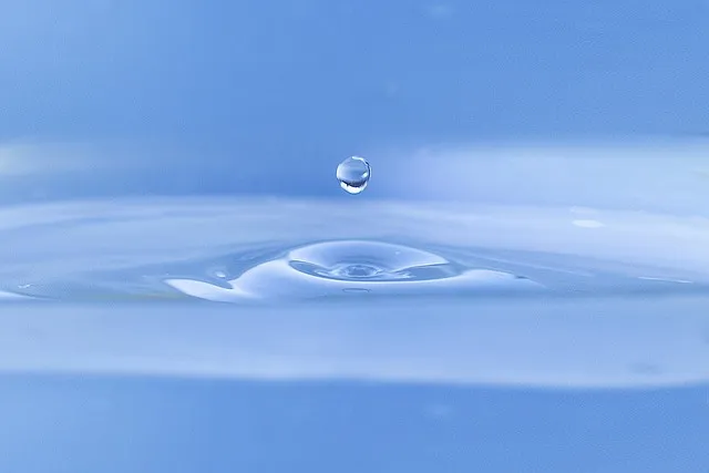 화장실 악취 트랩 물채우기와 배수관 점검 소독 방법_2