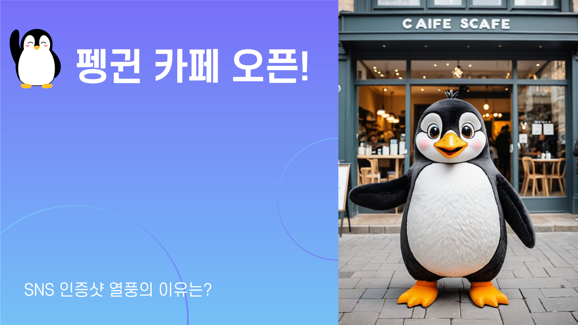 펭귄 카페 오픈 SNS 인증샷 열풍