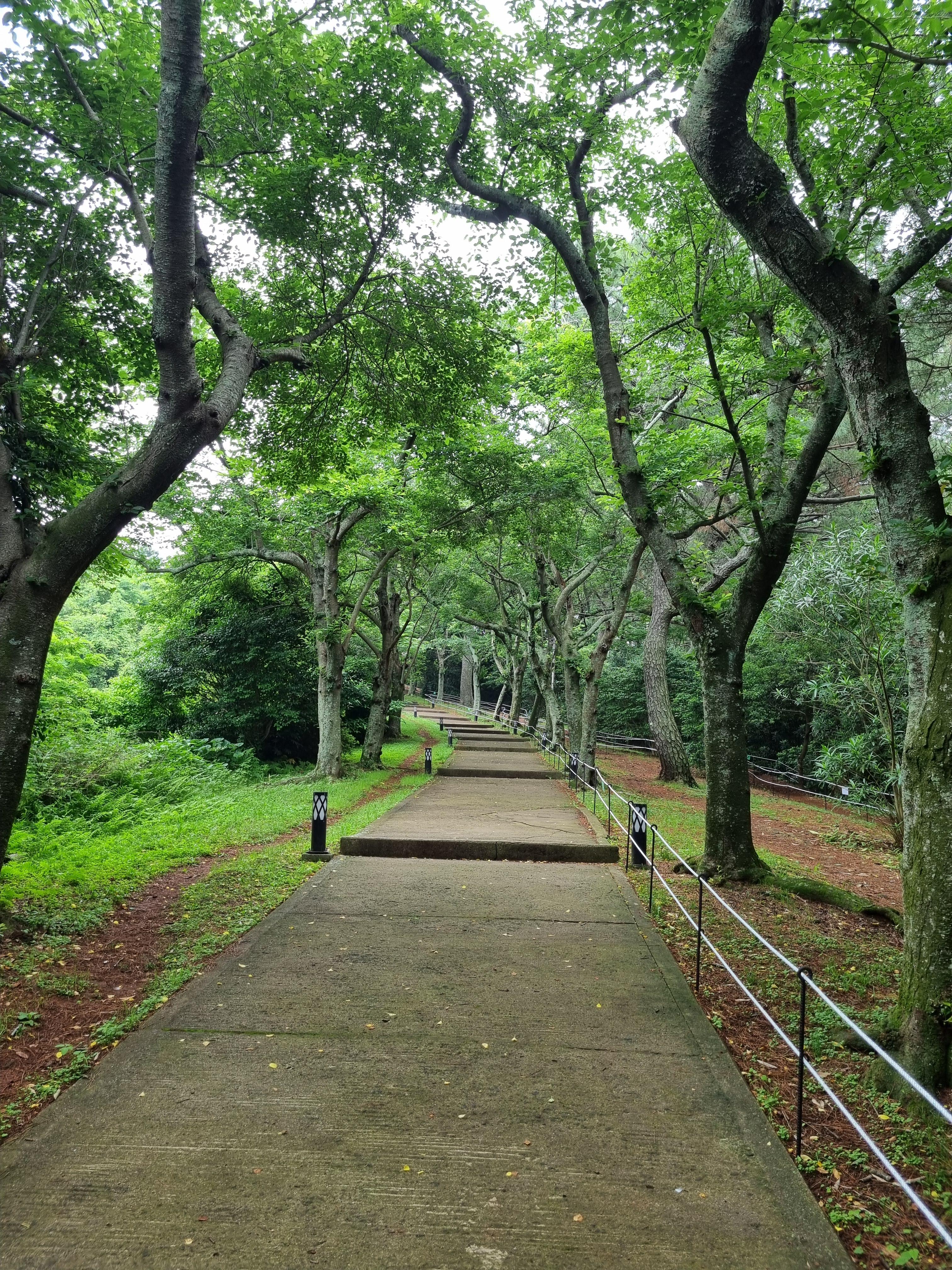 Jeju Olle Trail 18
