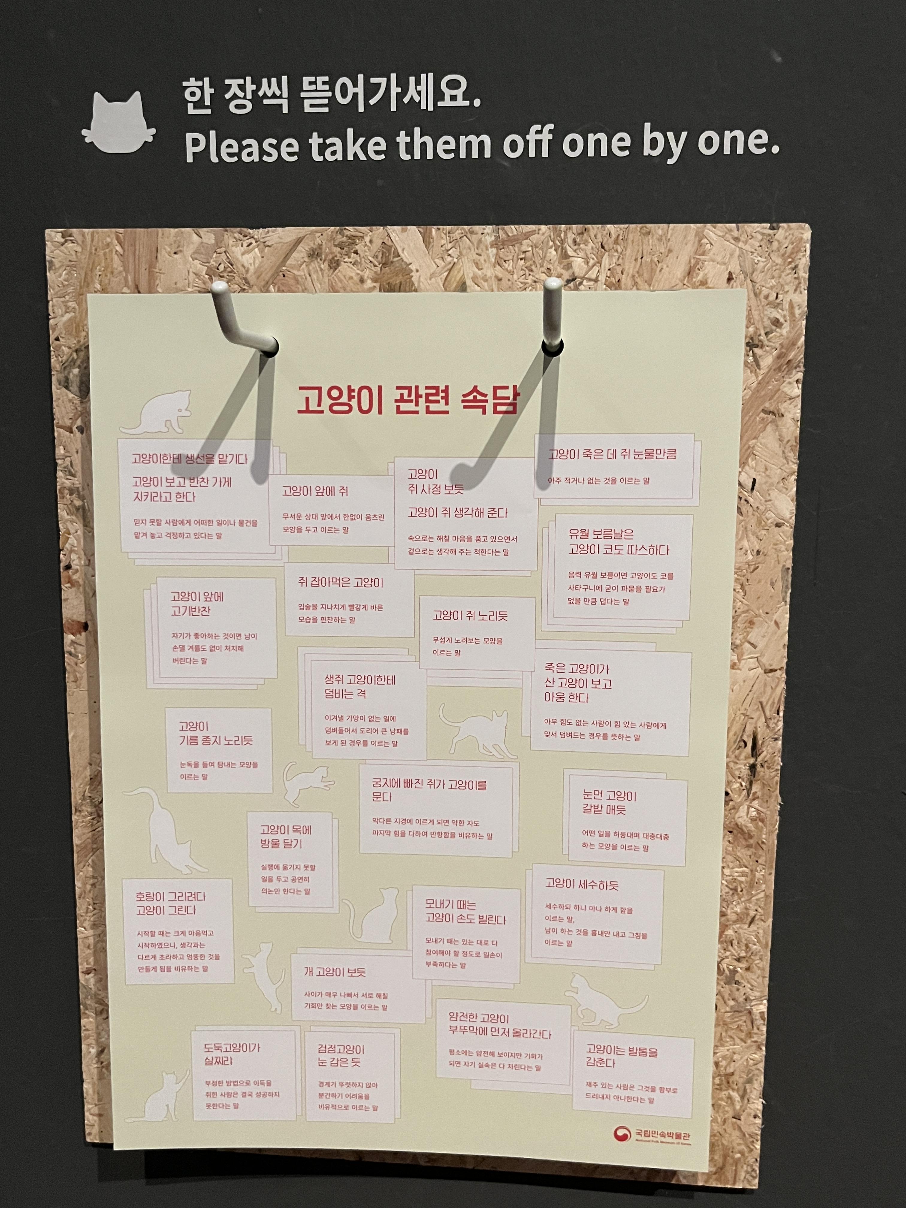 요물 우리를 홀린 고양이