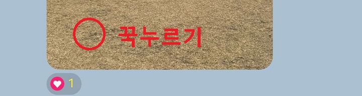 카톡 채팅방 메시지 보임