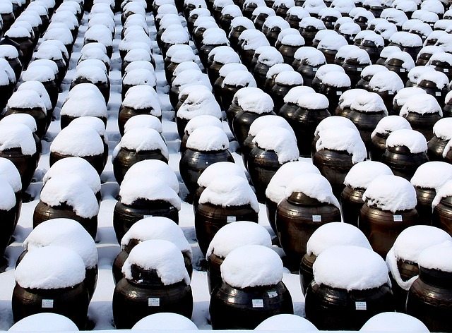 전통 발효 식품