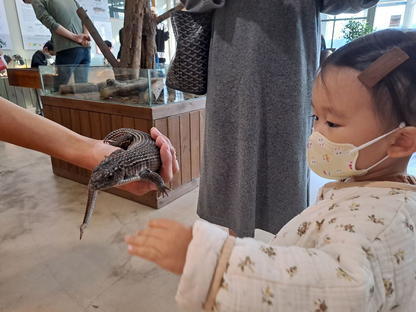 용인 가볼만한곳 곤충테마파크