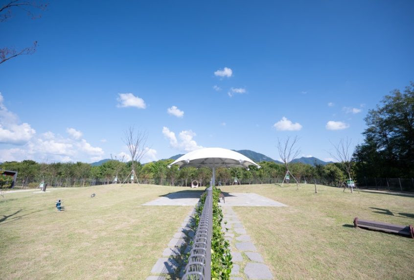 15. 미사아일랜드 펫존: 반려견과 함께하는 힐링 스팟! 🐶🌿