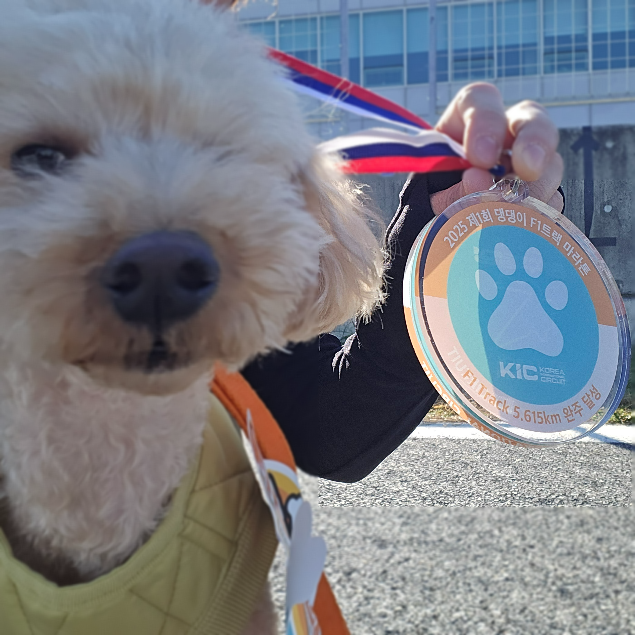 경쟁코스인 3.045km 완주 메달