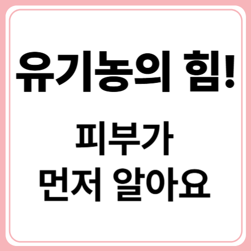 유기농 화장품 추천! 자연에서 찾은 진짜 케어