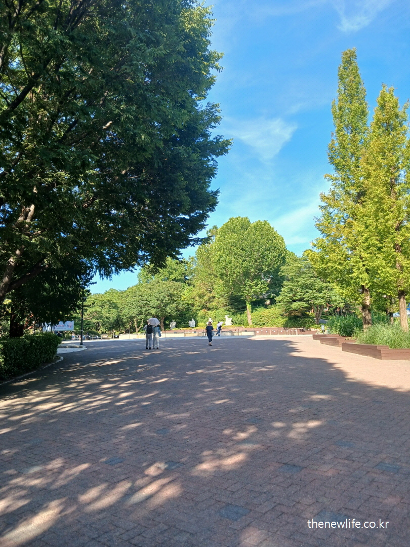 A wide and flat walkway surrounded by tall green trees at Children's Grand Park./서울 어린이대공원 평탄하고 넓은 보행로, 나무 그늘이 어우러진 풍경