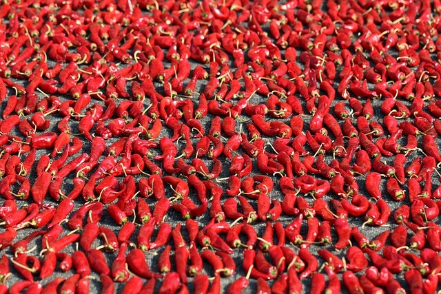 홈플러스 절임배추 사전 예약 기간,가격, 신청방법, 할인 방법