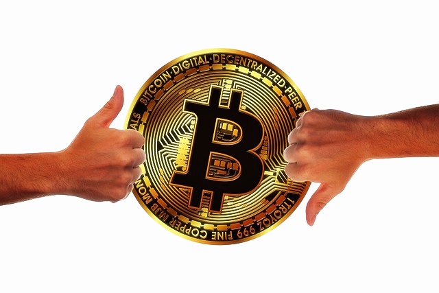 자동차통합이력조회