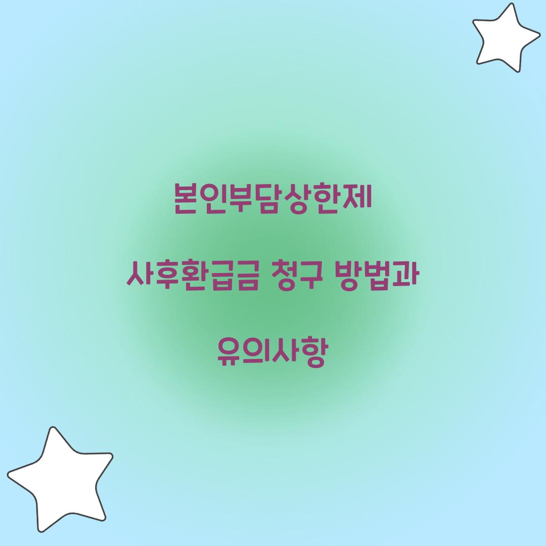 본인부담상한제 사후환급금