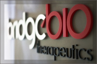 브릿지바이오테라퓨틱스 이미지