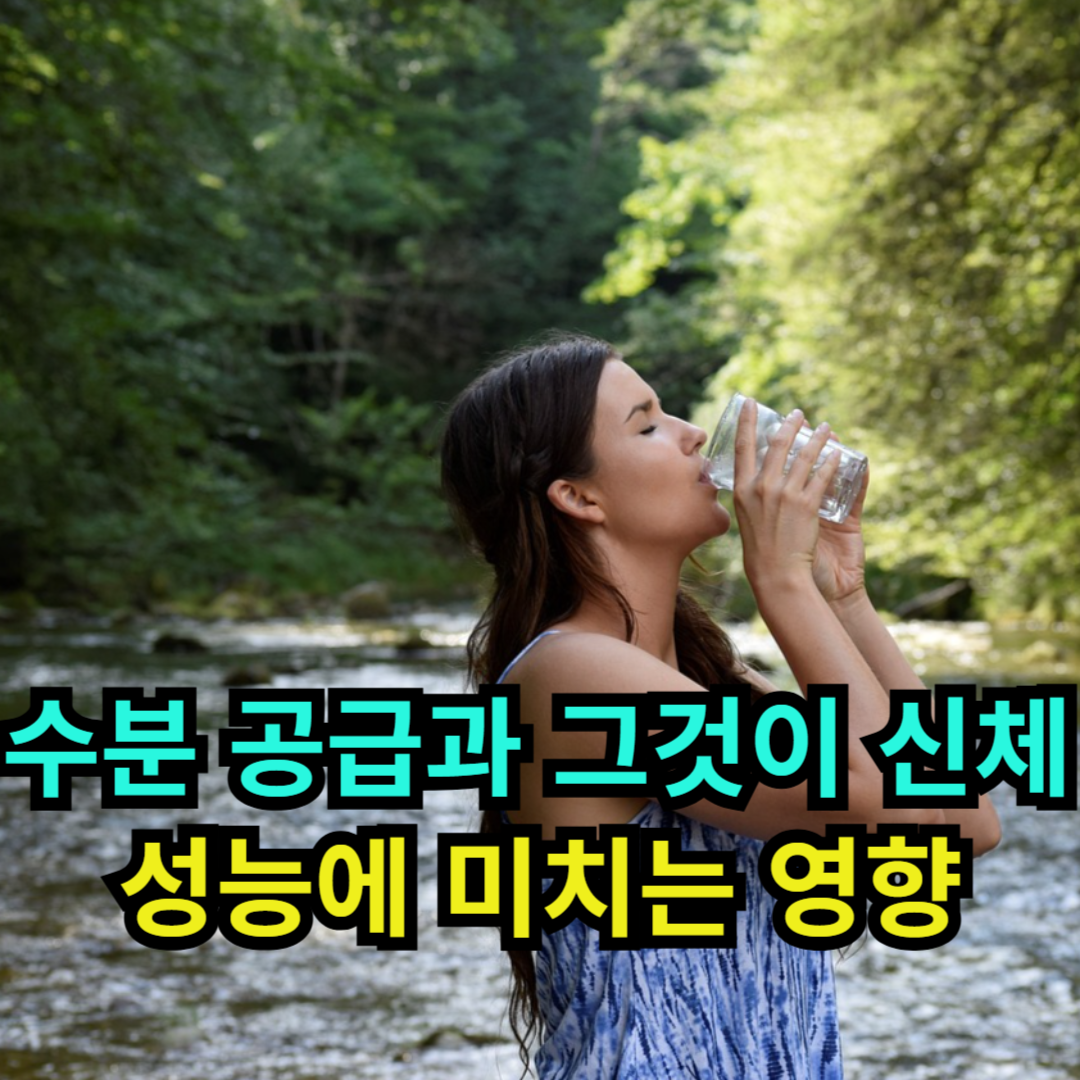 수분 공급과 그것이 신체 성능에 미치는 영향