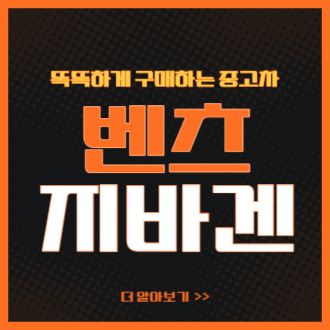 벤츠 지바겐