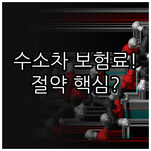 수소차 자동차 보험료가 비싼 이유와 ..