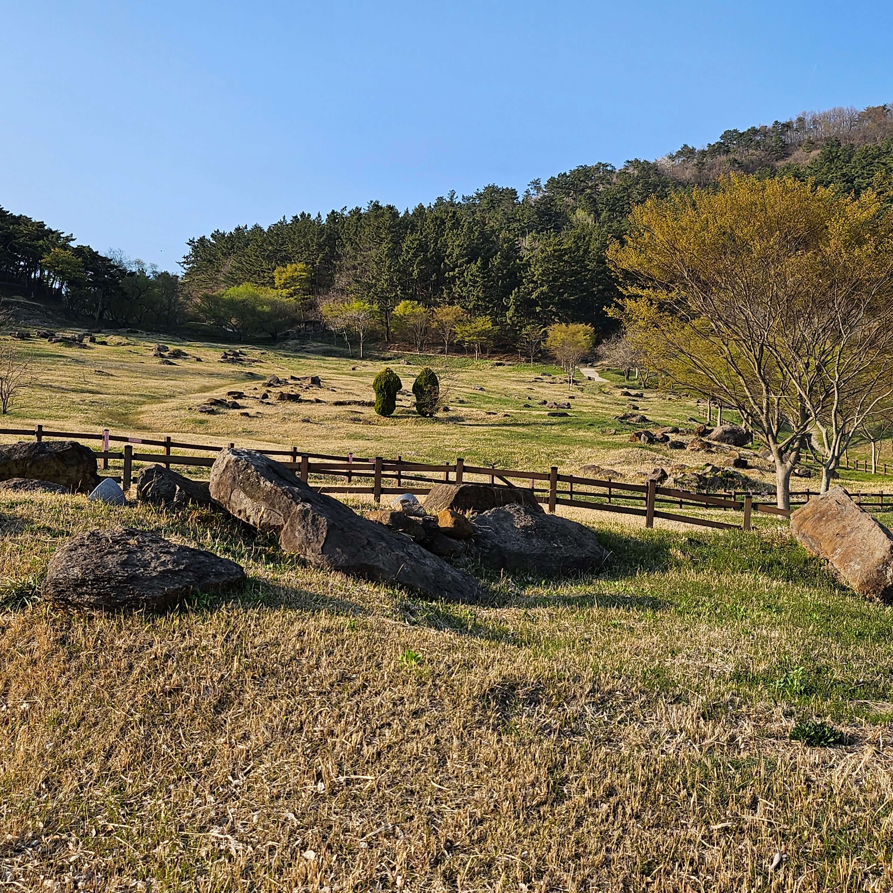 고인돌 유적지 방문당시 찍은 사진