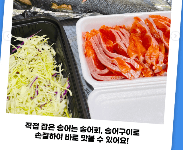 직접 잡은 송어회 사진