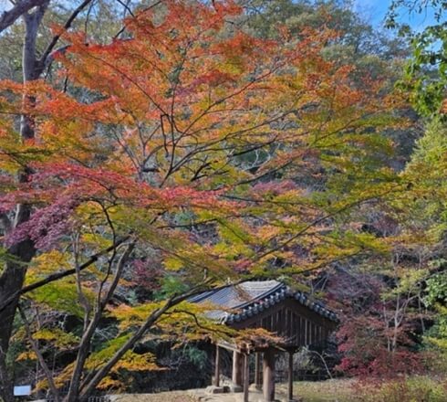 화순 가볼만한곳 베스트 10