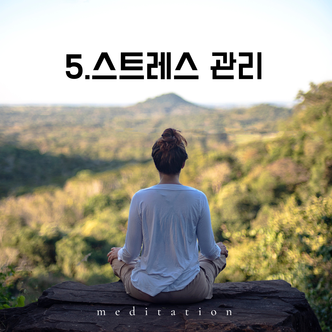 스트레스 관리