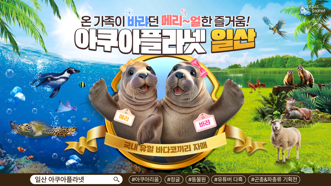 아쿠아플라넷 일산