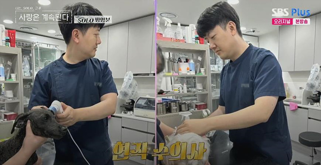 나솔사계 남자 출연자 총정리｜직업&middot;이상형 한눈에 보기 4기정수 23기영호 24기광수 24기영수 25기영수 25기영호 25기영철