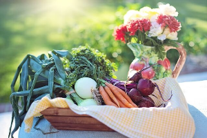 미나리효능,미나리철
